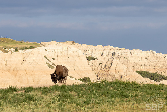 Badlands National Park