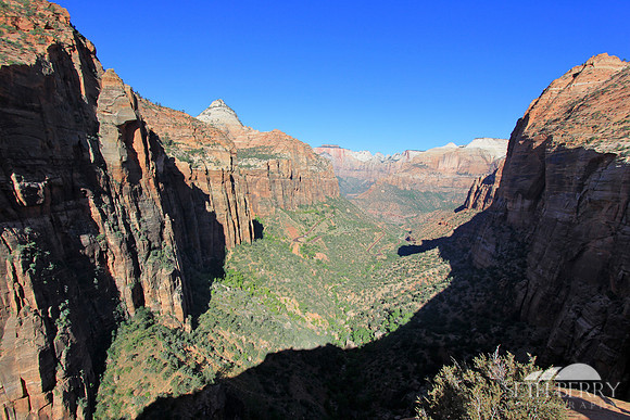 Zion Canyon Overlook 1