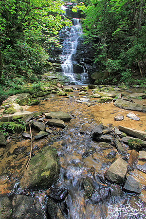 Reedy Branch Falls