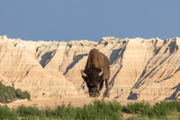 Badlands National Park