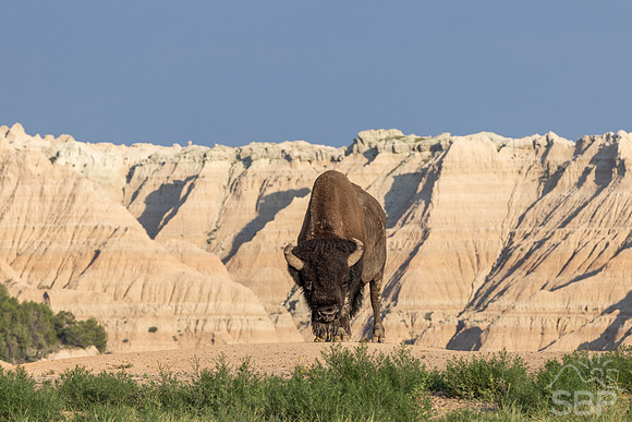 Badlands National Park