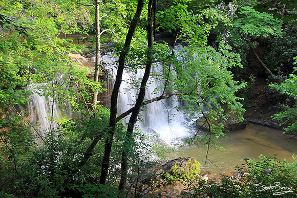 Brasstown Veil