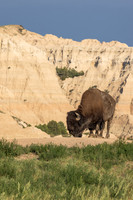 Badlands National Park