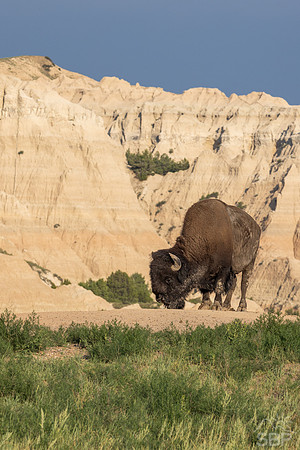 Badlands National Park
