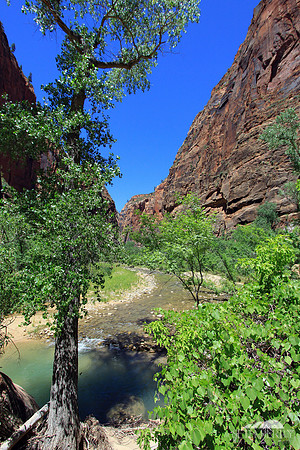 Zion's Virgin River