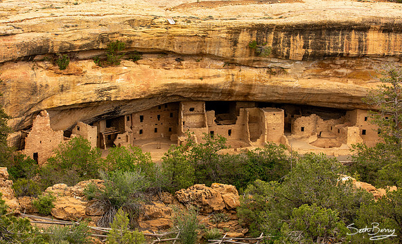 Spruce Tree House