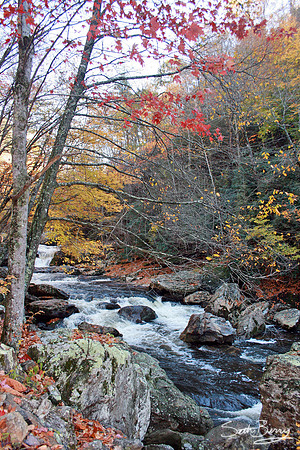 Autumn Cullasaja River