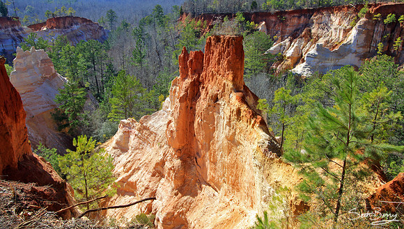 Providence Canyon, Georgia 2