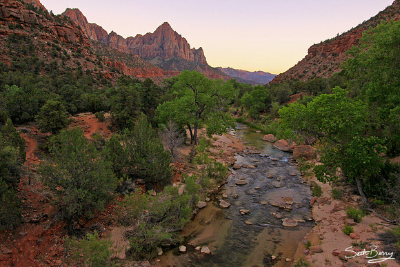 The Watchman