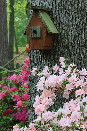 Southern Birdhouse