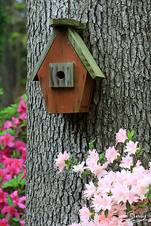 Spring Birdhouse