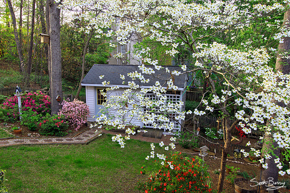 Spring Yard