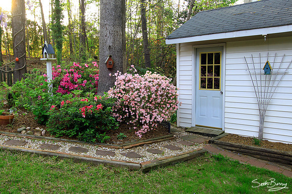 Dad's Shed