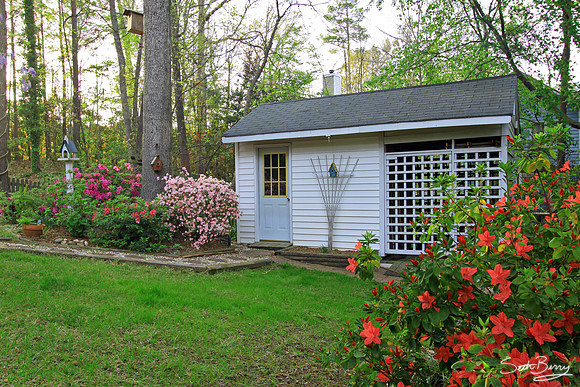 Dad's Shed
