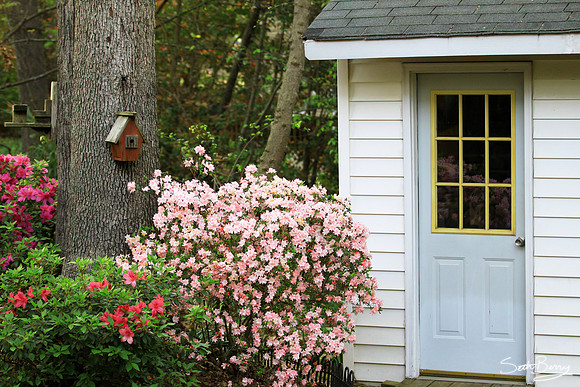 Spring Shed