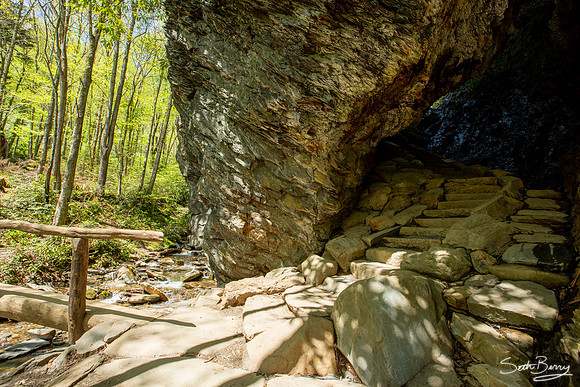 Alum Cave Trail