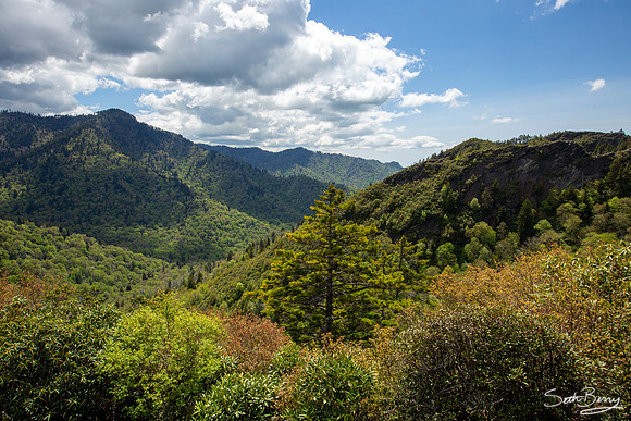 Alum Cave Trail