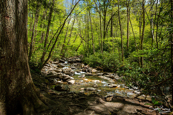 Alum Cave Trail