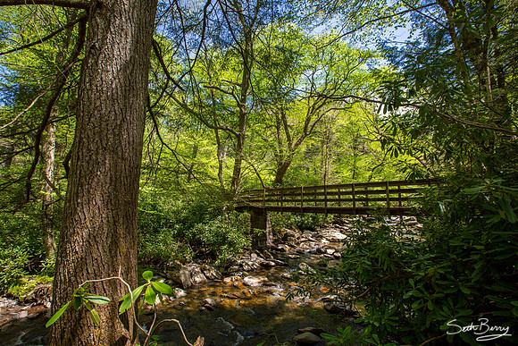 Alum Cave Trail