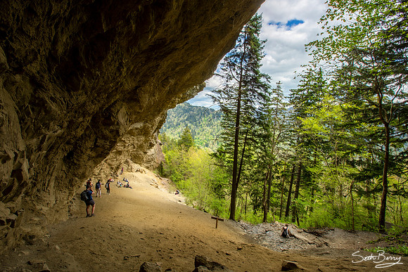 Alum Cave Bluff