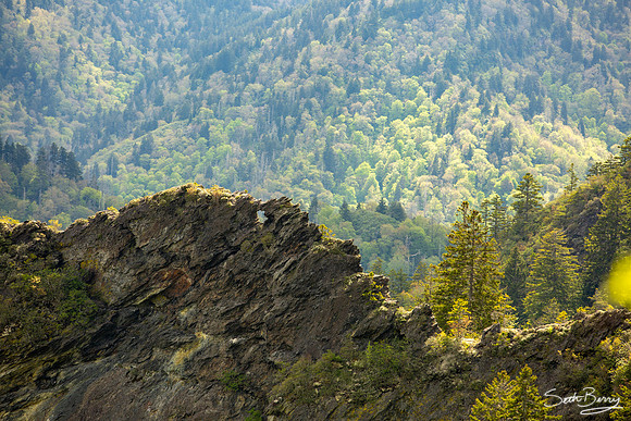 The Eye of the Needle