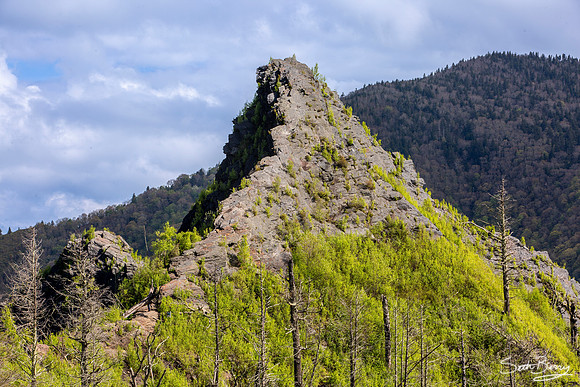 Chimney Tops