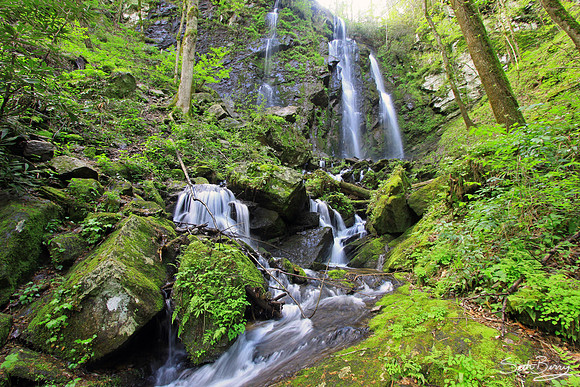 Lee Falls, SC