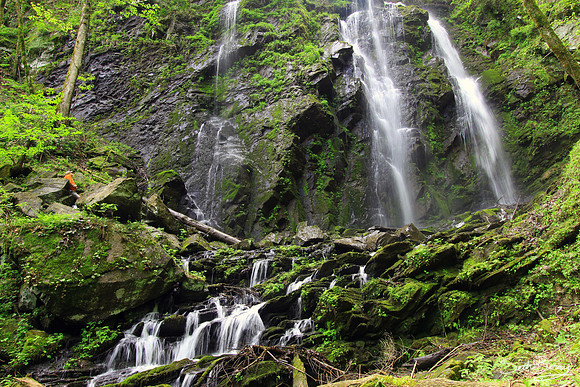 Lee Falls, SC