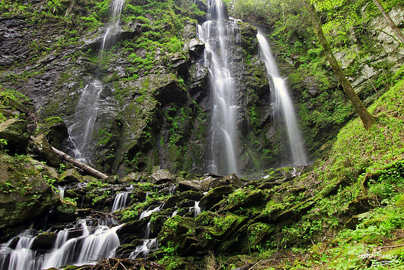 Lee Falls, SC