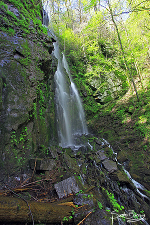 Lee Falls, SC