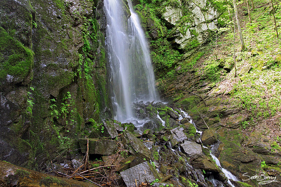 Lee Falls, SC