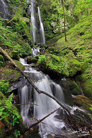 Lee Falls, SC