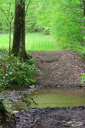 Creek Crossing