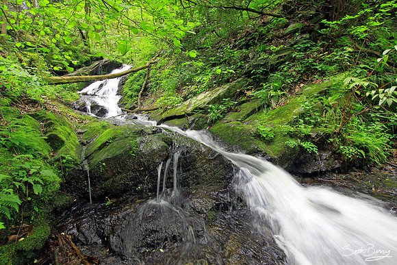 Cascade