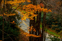 Autumn in Banner Elk, NC