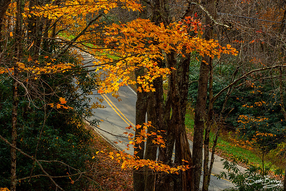 Autumn in Banner Elk, NC