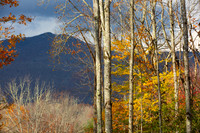 Autumn in Banner Elk, NC