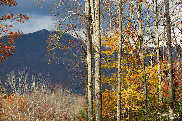 Autumn in Banner Elk, NC