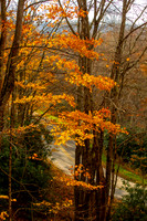 Autumn in Banner Elk, NC