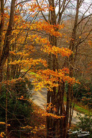 Autumn in Banner Elk, NC