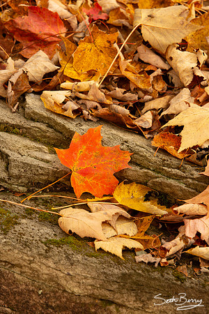 Autumn in Banner Elk, NC