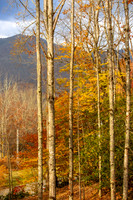 Autumn in Banner Elk, NC