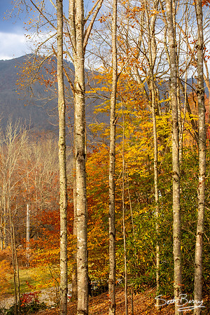 Autumn in Banner Elk, NC
