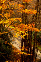 Autumn in Banner Elk, NC