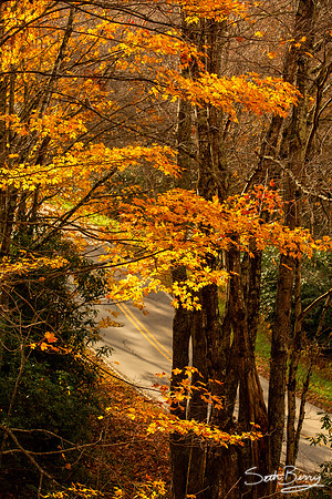 Autumn in Banner Elk, NC