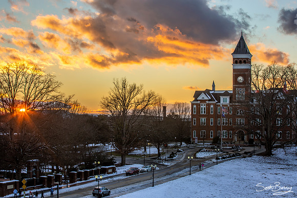 Snow Day in Tigertown