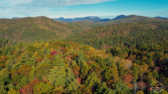 Autumn in the Foothills