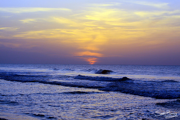 Surfside Morning
