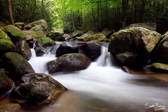 Peaceful Mountain Stream