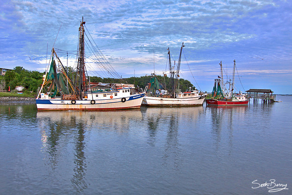 Shem Creek Shrimpin'